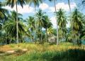 phuket.jpg
