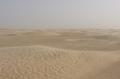 desert.jpg